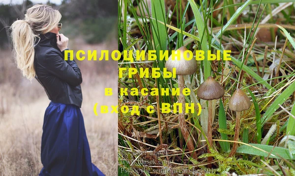 а пвп мука Осинники