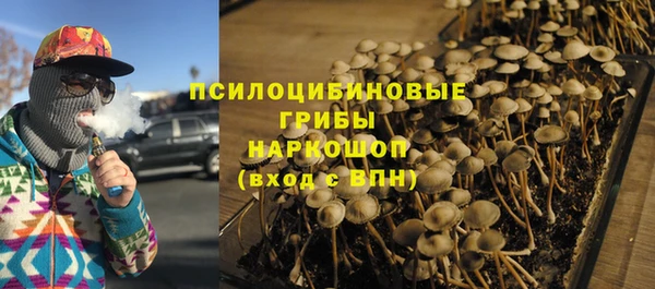 а пвп мука Осинники