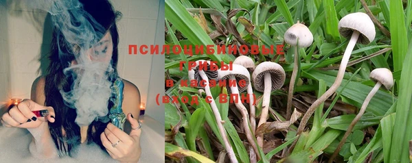а пвп мука Осинники