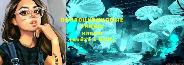 амф Осташков
