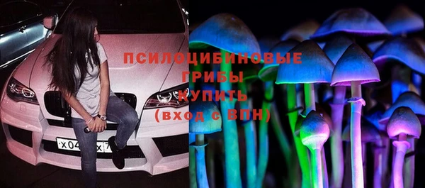 амф Осташков