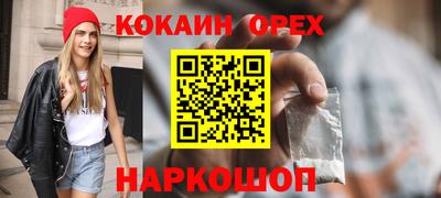 стаф Гай