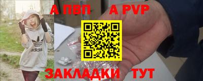 стаф Гай