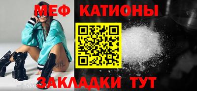 стаф Гай