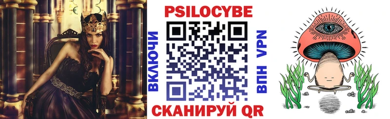 магазин    Азнакаево  Псилоцибиновые грибы GOLDEN TEACHER 