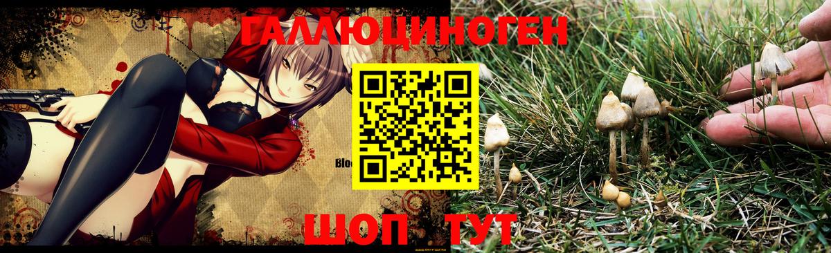 Псилоцибиновые грибы Magic Shrooms  Псилоцибиновые грибы Psilocybine cubensis  Вход с VPN  Азнакаево 