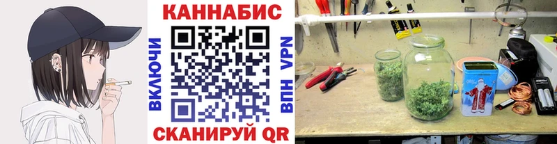 Канабис сатива  Азнакаево 